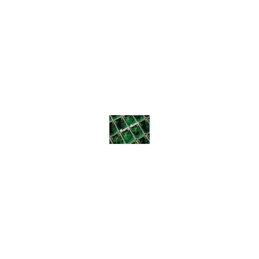 WNK Jekyll i Hyde gra - 5904915900965