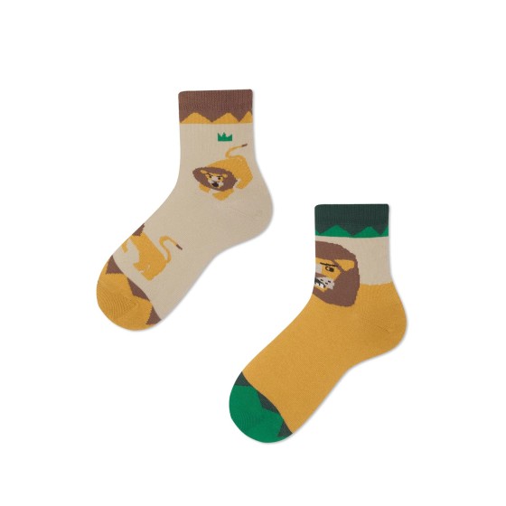 Many Mornings LION AROUND rozm 23-26