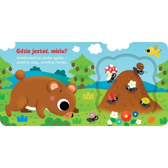 Axiom Otevřete okno! Kde jsi, Misiu?