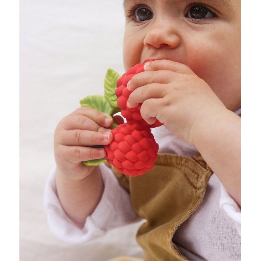 Oli and Carol Rimple Toy Raspberry Valery