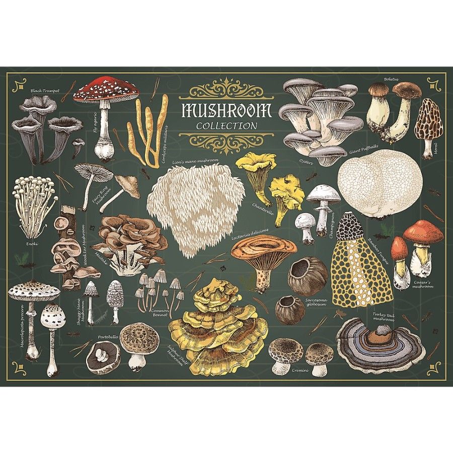 Trefl Puzzle 500el. Trefl Premium Plus Finders Keepers: Grzyby