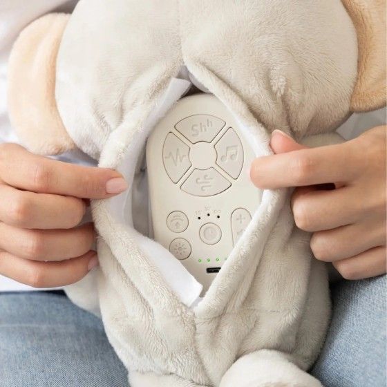 Tiny Love Pluszowa przytulanka – Przyjaciel koala