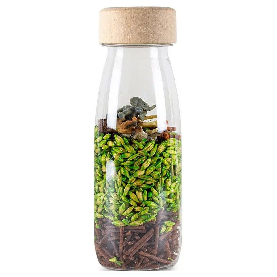 Petit Boum - Botella de observación - JUNGLE 64 -