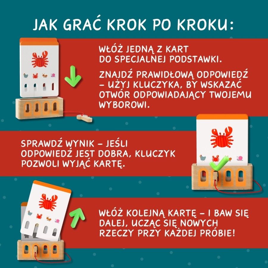 TopBright Logiczne łamigłówki gra edukacyjna poziom podstawowy