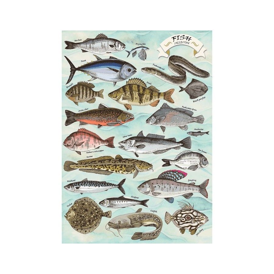 Trefl Puzzle 500el. Trefl Premium Plus Finders Keepers Ryby