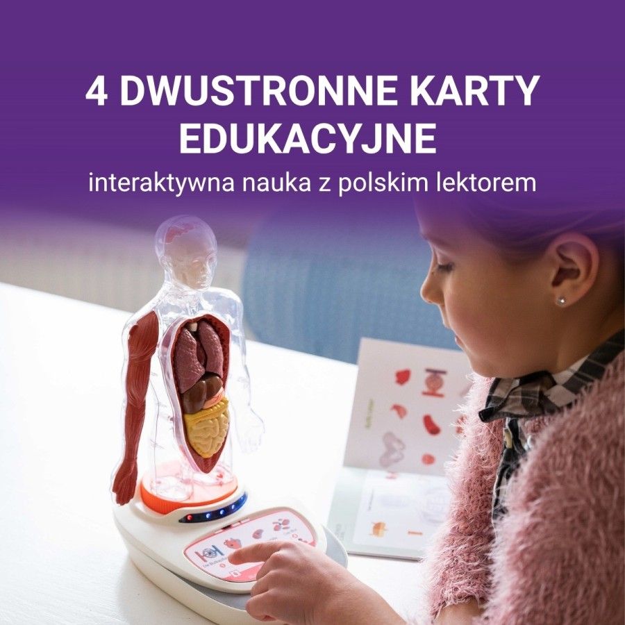 Science Can Ciało Człowieka Interaktywny model 3D 6+