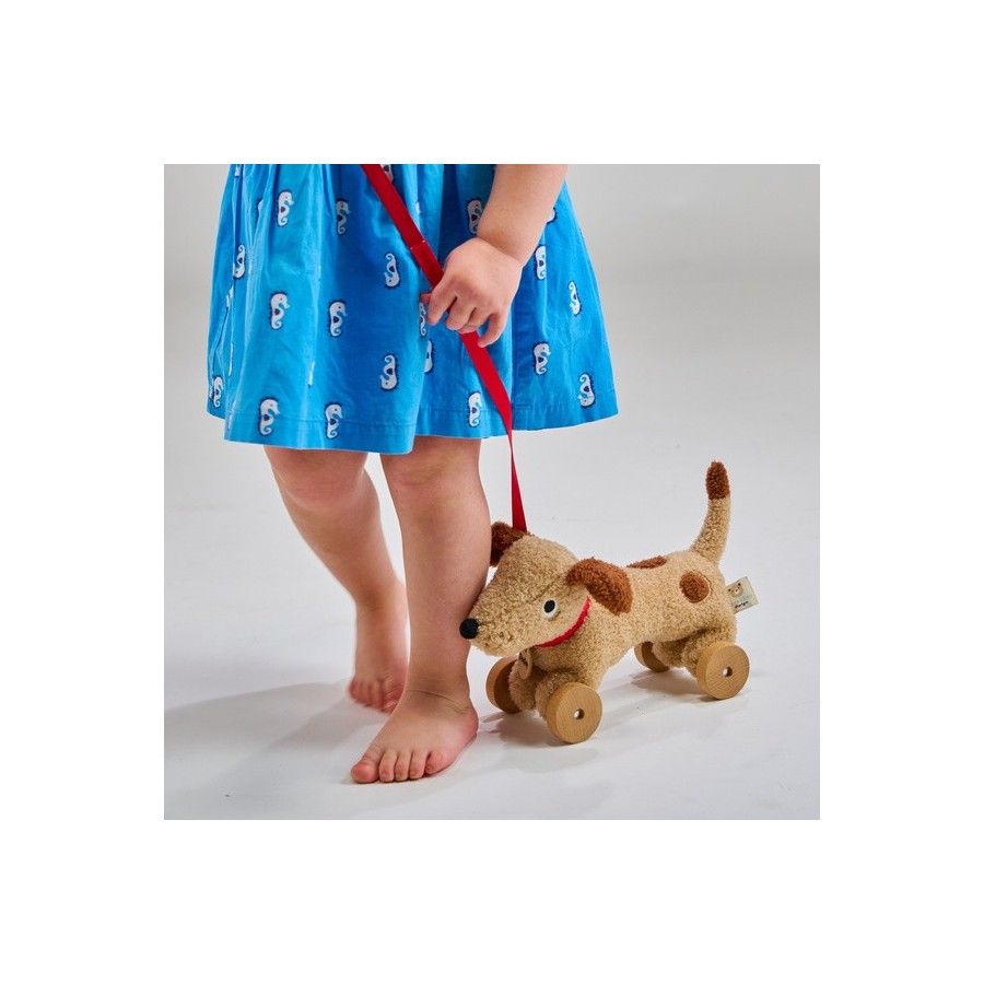 ThreadBear Design Piesek na kółkach do ciągnięcia - Dudley