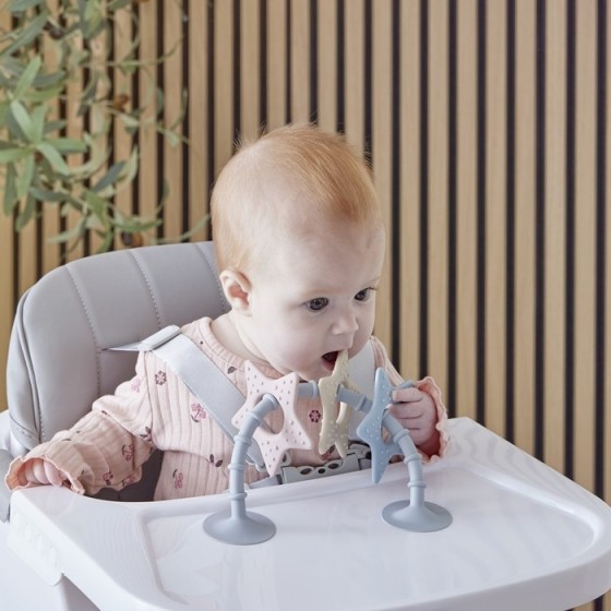 Shnuggle Zabawka i Gryzak dla Dziecka z Przyssawką Gwiazdki