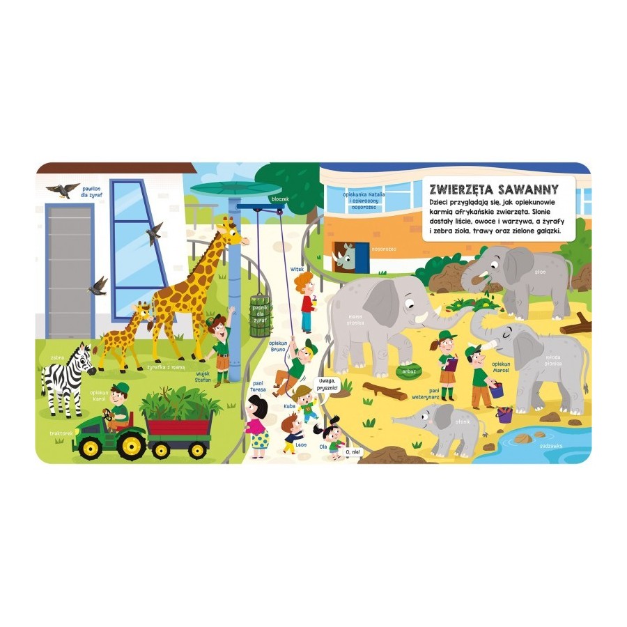 Aksjomat Książeczka z okienkami. Wesołe zoo