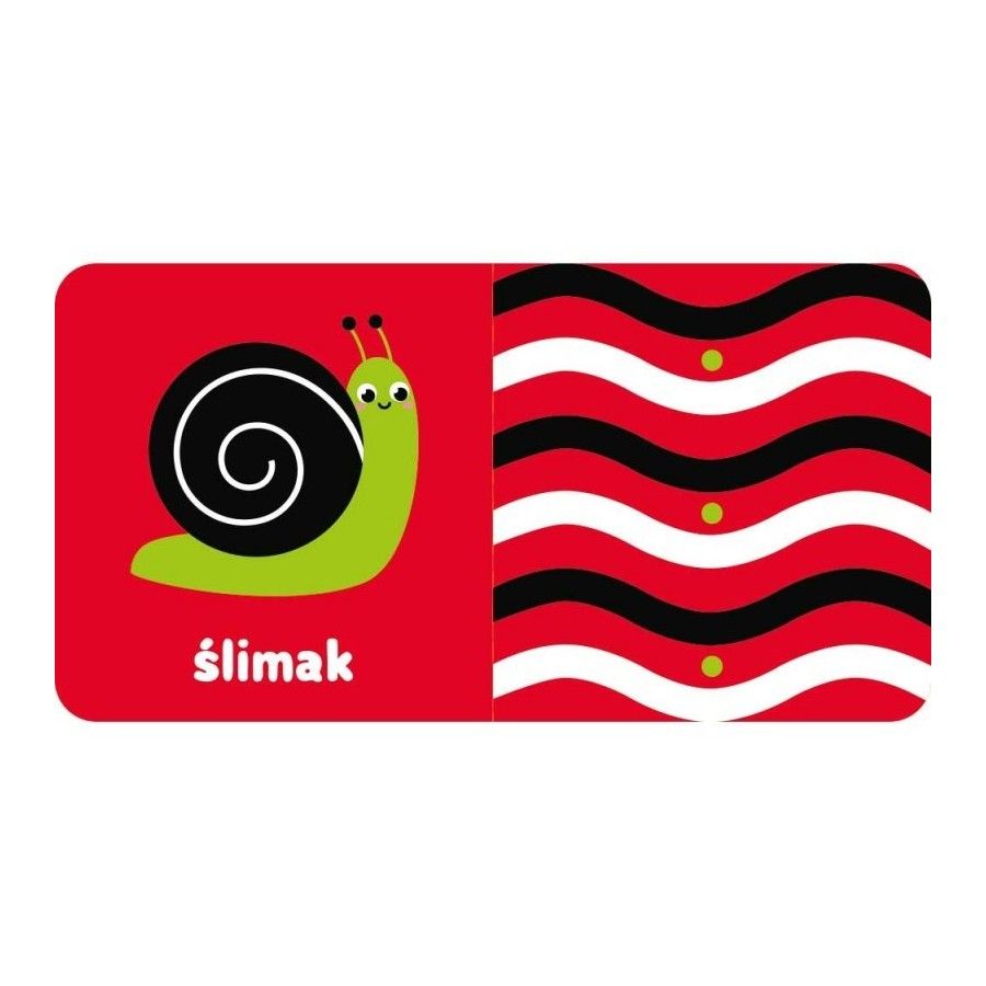Aksjomat Zobacz, maluszku! Książeczka kontrastowa z wózkiem