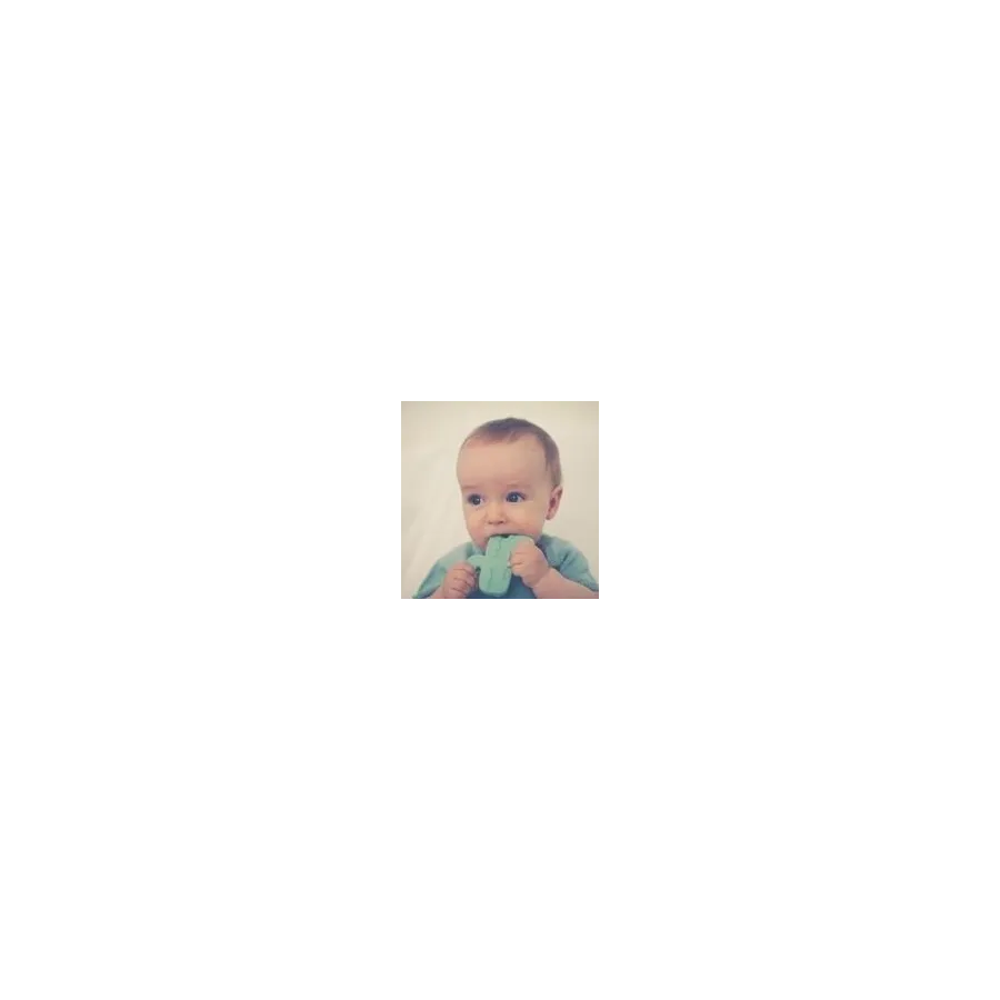 LANCO TEETHING CACTUS MINT