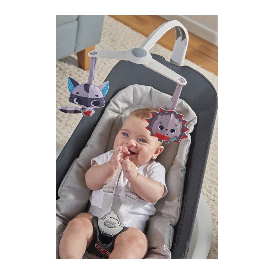 Tiny Love bujaczek and cradle 2in1 Natural Movement