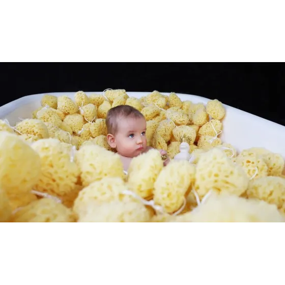 LULLALOVE NATURALNA GĄBKA MORSKA HONEYCOMB SMALL