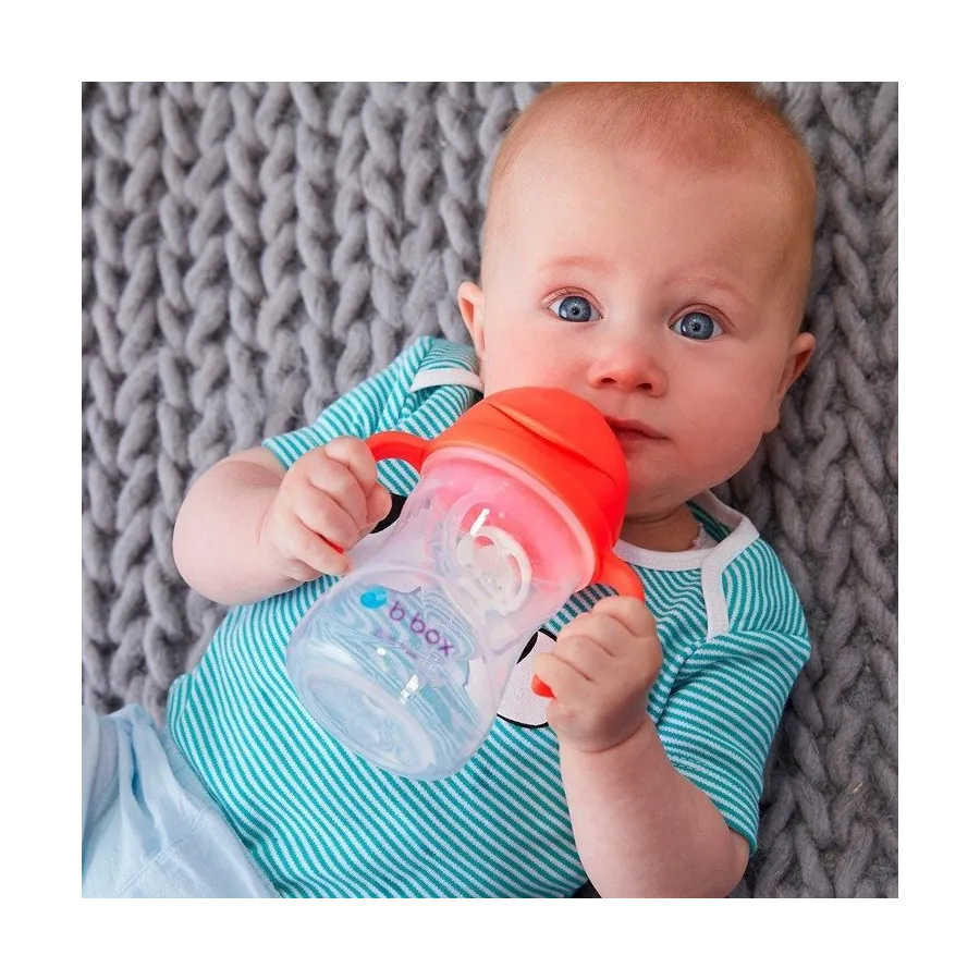 B.BOX INNOVATIVE NEW BOTTLE WITH APPLE straw