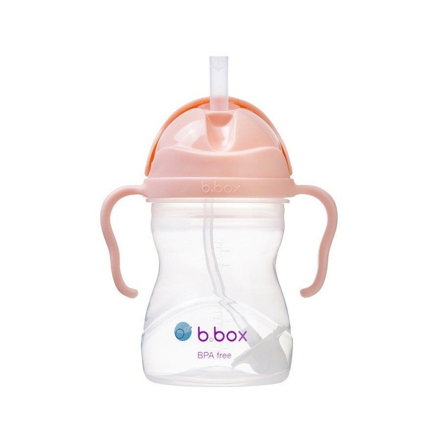 B.BOX ПЛЯШКА З СОЛОМИНКОЮ 240МЛ GELATO TUTTI FRUTTI