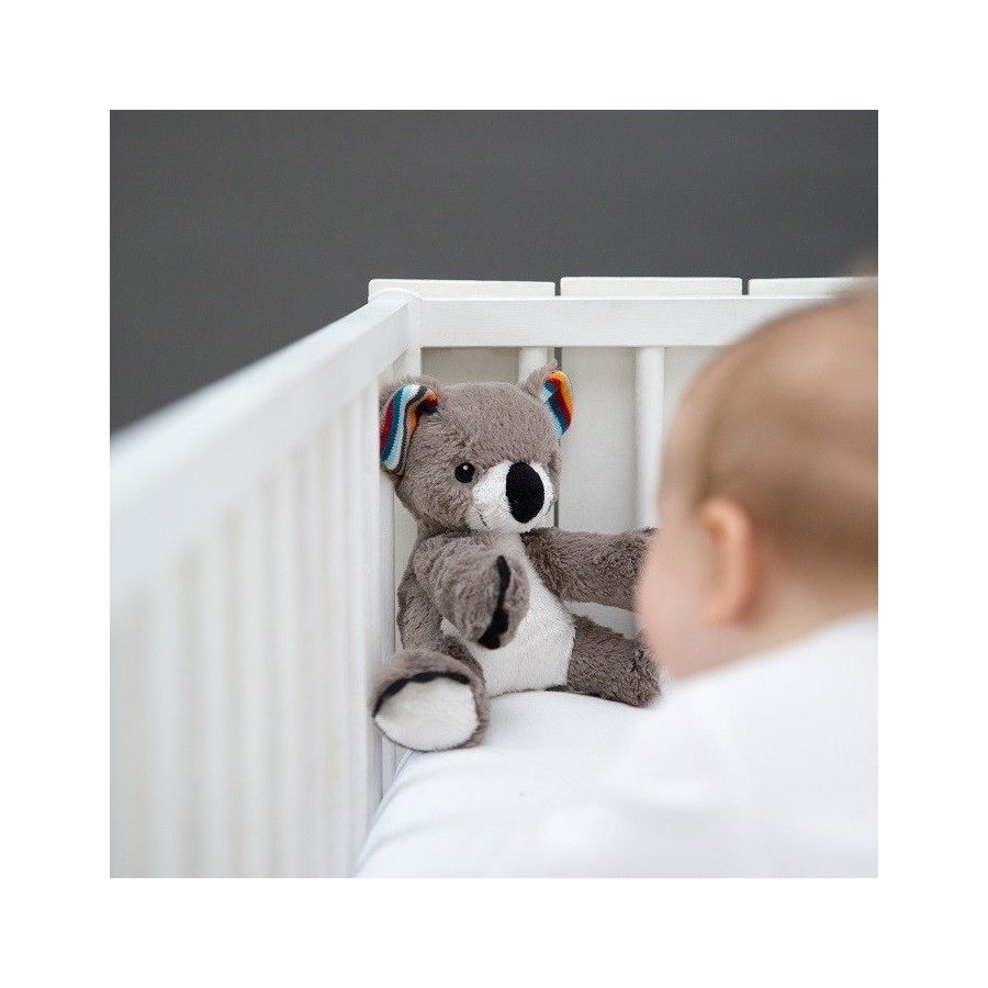 Zazu COCO The smelly koala cuddle