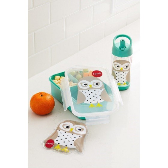 3 Sprouts lunchbox Bento owl Mint