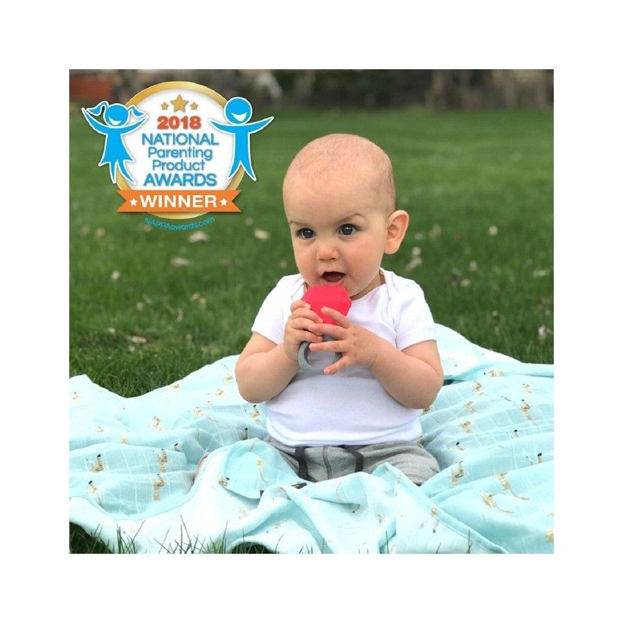 Innobaby Anneau de dentition Aleksandr First Jewel