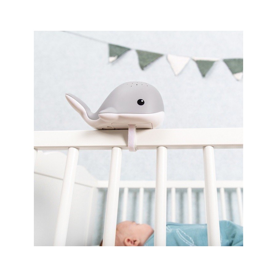 Zazu WALLY Projektor Wieloryb Grey