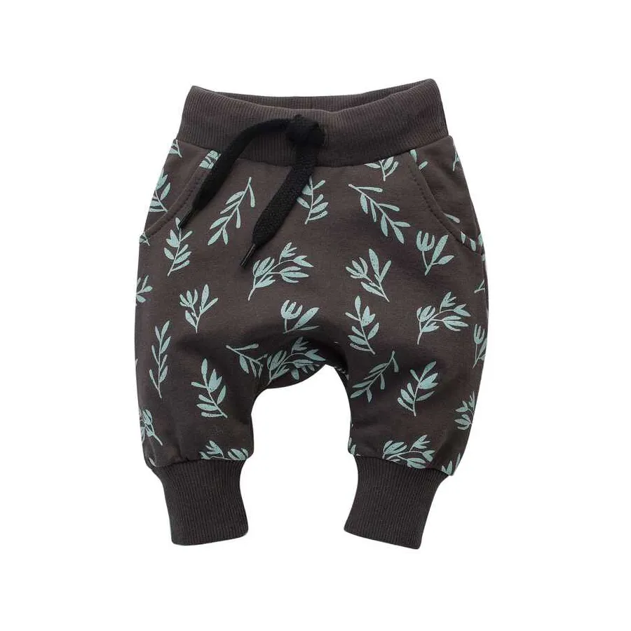 Pinokio PUMPES Restez vert 62 Graphite