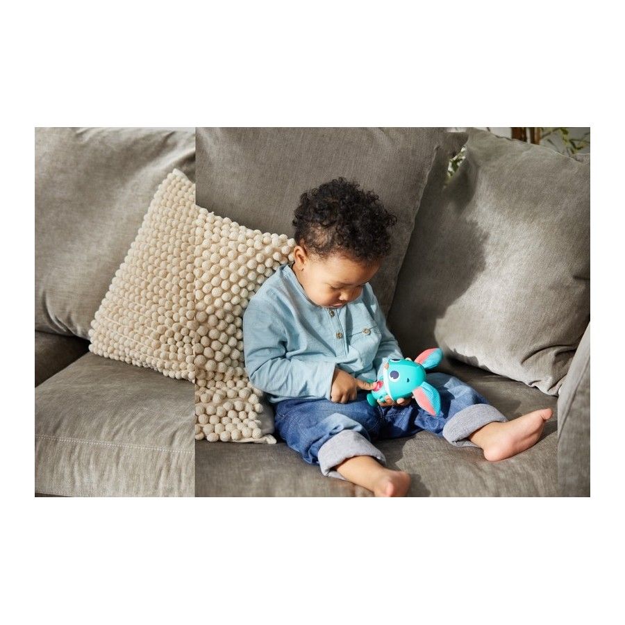 Tiny Love Interactive toy little explorer rabbit thomas