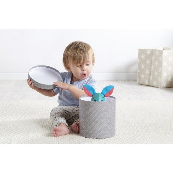 Tiny Love Interactive toy little explorer rabbit thomas