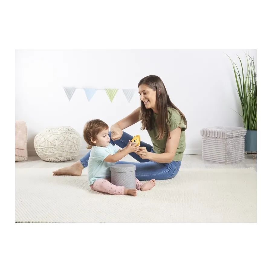 Tiny Love Interactive Toy Small Rabbit Discovery Leonardo