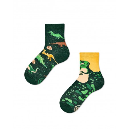 Many Mornings Die Kindersocken von The Dinosaurs Kids. 23 bis 26