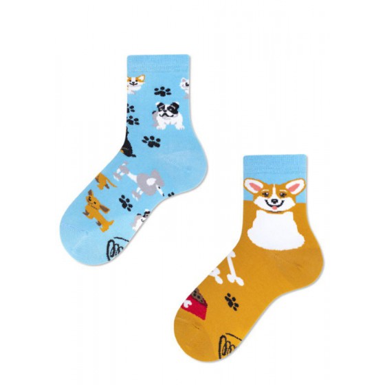 Many Mornings Playful Dog Kids socks one. 31 to 34