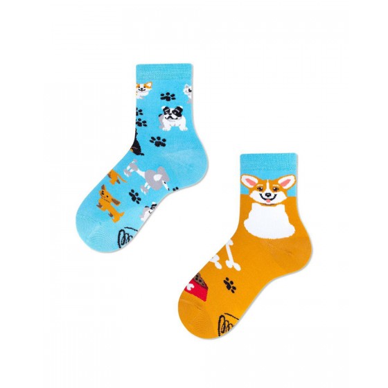 Many Mornings Los calcetines para niños Playful Dog Kids. 23 y 26