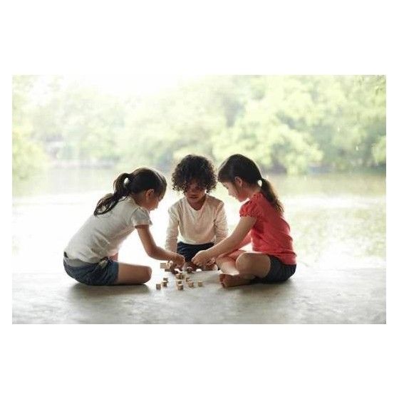 Plan Toys Dopasuj obrazki