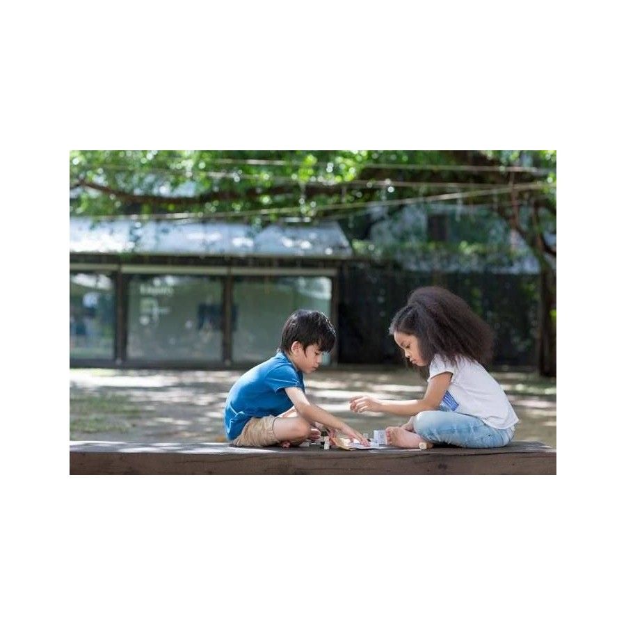 Plan Toys Klocki drewniane 24el